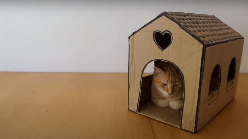 cách làm nhà cho mèo