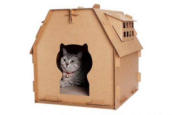 cách làm nhà cho mèo
